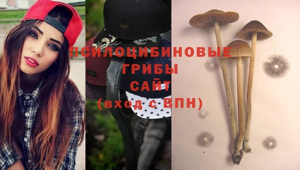 дурь Касимов