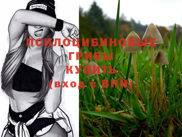 прущий лед Карпинск