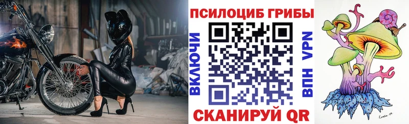 Псилоцибиновые грибы Psilocybine cubensis Краснокамск