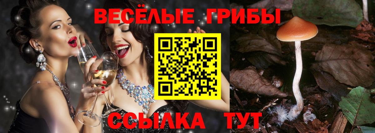 Краснокамск  Псилоцибиновые грибы GOLDEN TEACHER  Вход с VPN 